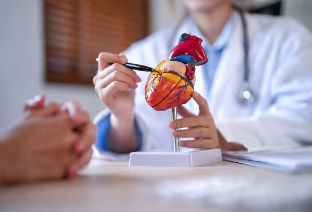 Heart screening in Thrissur consultation showing a doctor explaining a heart model to a patient during a cardiovascular health assessment.