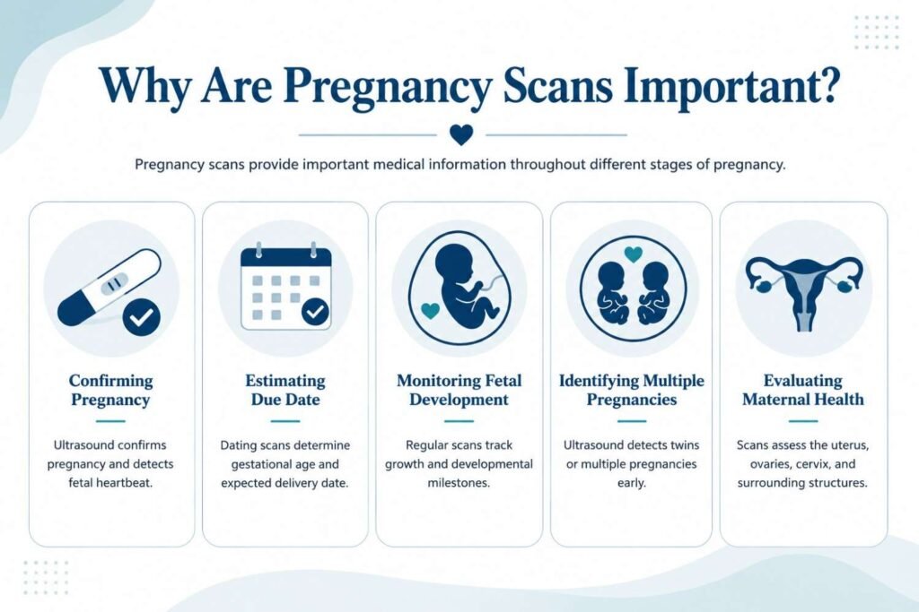 Infographic explaining why pregnancy scans are important, including pregnancy confirmation, due date estimation, fetal development monitoring, multiple pregnancy detection, and maternal health assessment.