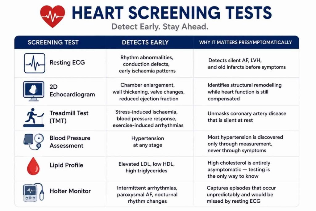 Heart screening tests infographic showing ECG, echocardiogram, treadmill test, blood pressure assessment, lipid profile, and Holter monitor for early detection of heart disease.