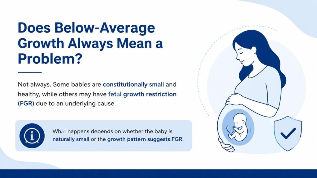 Minimal pregnancy healthcare blog banner explaining that below-average fetal growth does not always indicate a problem. The design features a pregnant woman illustration with a baby silhouette, soft blue accents, and a clean white background.