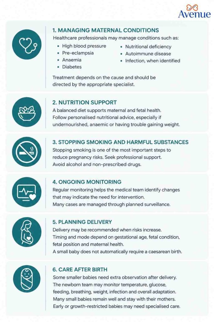 Minimal maternity care infographic highlighting key aspects of managing maternal health, including maternal conditions, nutrition support, smoking cessation, ongoing monitoring, delivery planning, and care after birth. The design features a clean white background with teal-green accents, simple medical icons, and a modern healthcare layout.